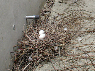 新開地フィールドワーク