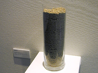 SASドキュメント展