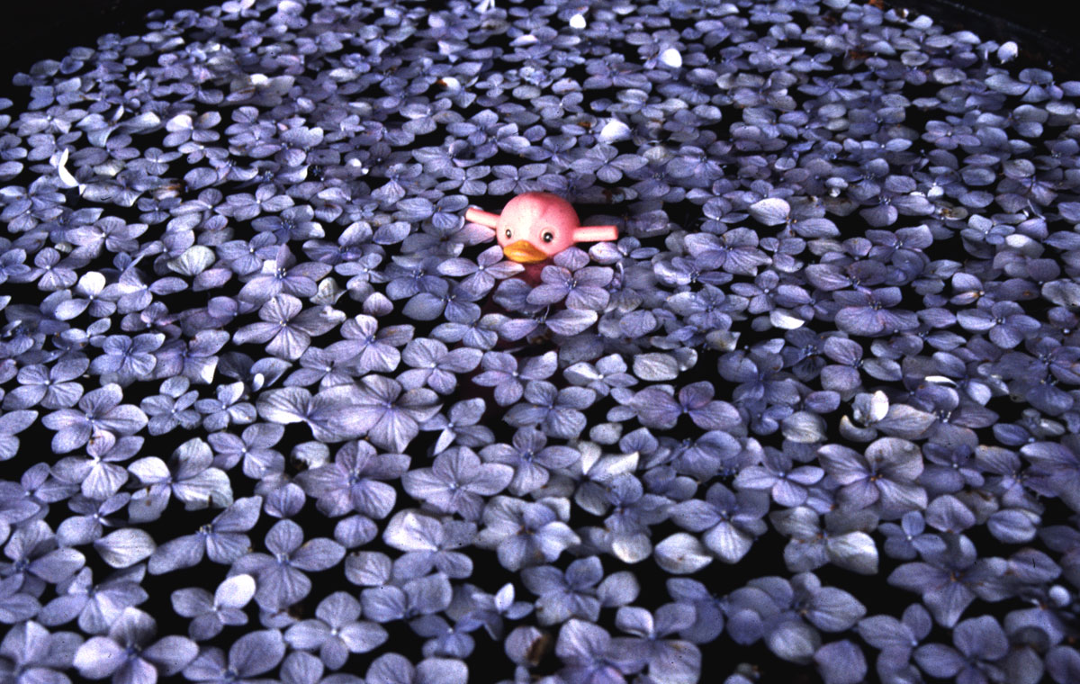 INOUE Akihiko_Angel Eyes,1993-95