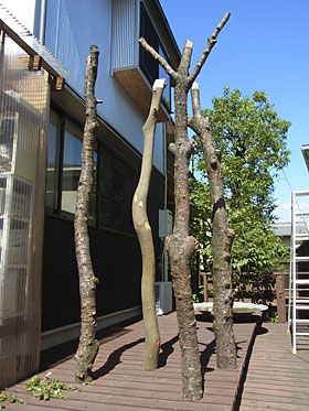 make a tree stand freely